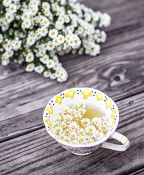 Naturopathie et infusions Atelier naturopathie